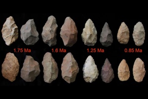 Developing lithic skills may show developing intellect.